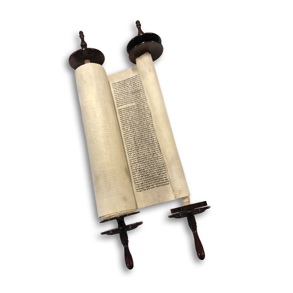 Temple Emanuel Memorial Torah Scroll #1178 – back in our Ark!